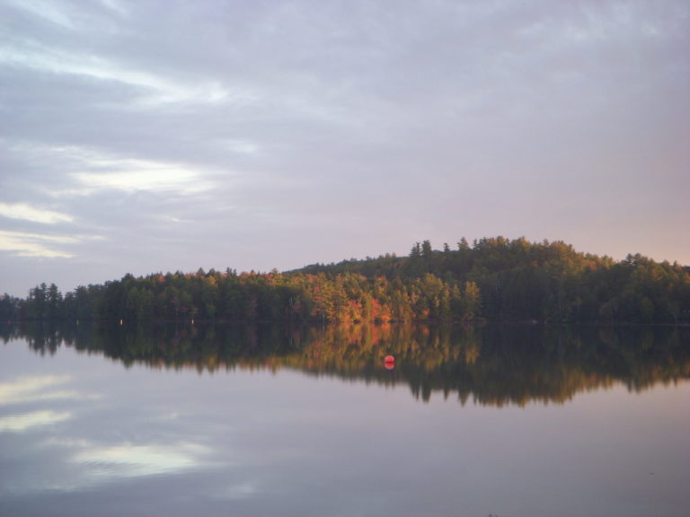 On The Road - JanieM - Fall Color, Central Maine Sampler 6