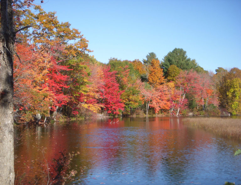 On The Road - JanieM - Fall Color, Central Maine Sampler 5