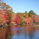 On The Road - JanieM - Fall Color, Central Maine Sampler 5