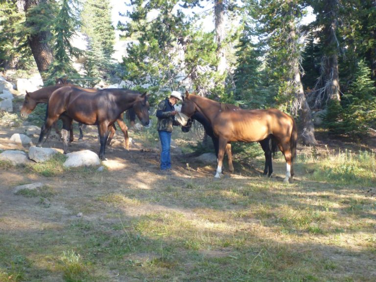 On The Road - way2blue - Emigrant Wilderness, Stanislaus National Forest, High Sierras 5