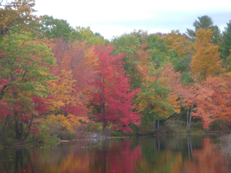 On The Road - JanieM - Fall Color, Central Maine Sampler 4