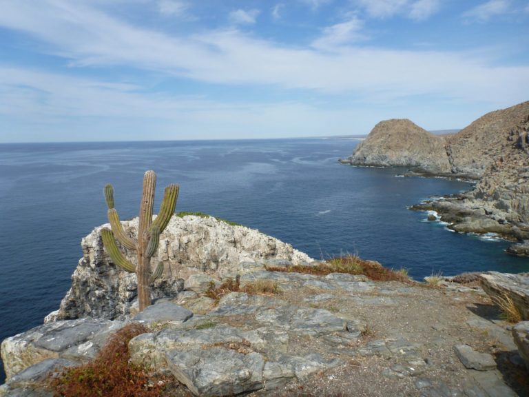 On The Road - way2blue - BAJA SUR, MEXICO 3