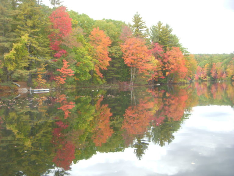 On The Road - JanieM - Fall Color, Central Maine Sampler 3