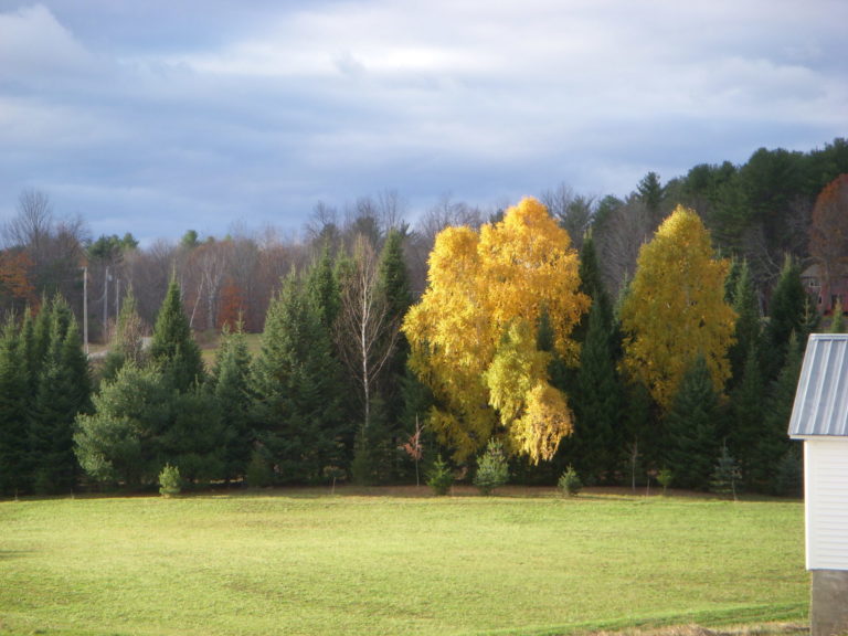 On The Road - JanieM - Fall Color, Central Maine Sampler