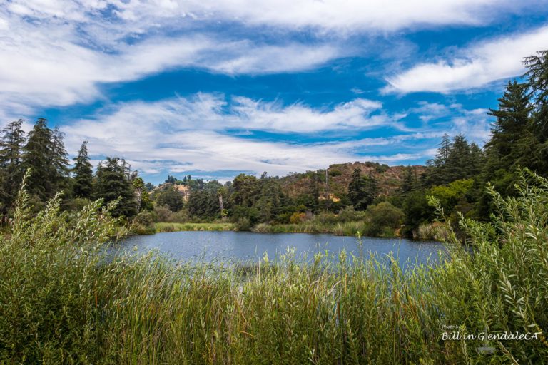 On The Road -  ?BillinGlendaleCA - Franklin Canyon - Infrared/Visual Pairs 3