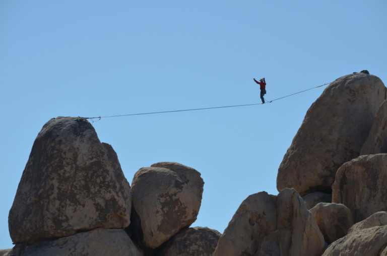 On The Road - dmbeaster - Joshua Tree National Park