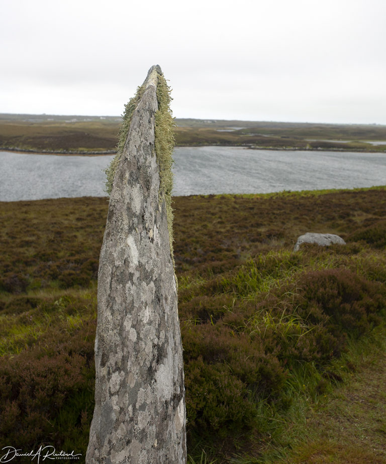 On The Road - Albatrossity - Summertime in Scotland - #2 6