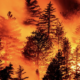 Fires, Smoke, Sky: West Coast Check-in