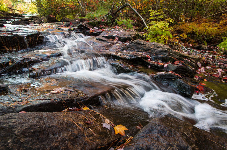 On The Road - Dagaetch - Acadia National Park 2