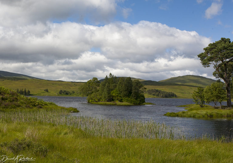 On The Road - Albatrossity - Summertime in Scotland - #1 6