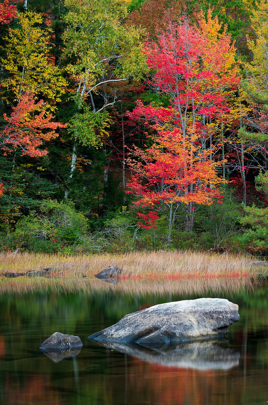 On The Road - Dagaetch - Acadia National Park 4