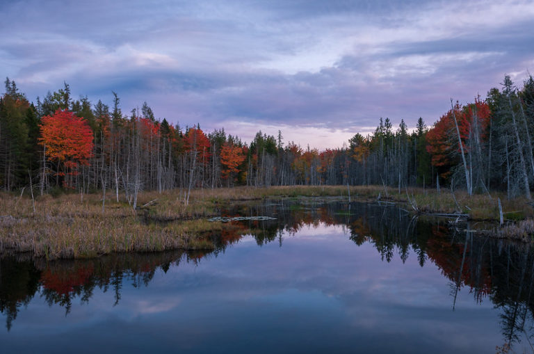 On The Road - Dagaetch - Acadia National Park 1