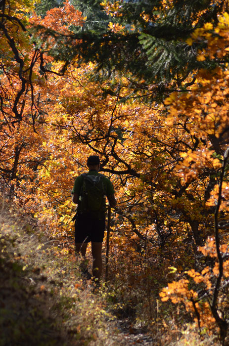 On The Road - Mike in Oly - Fall Foliage - Tieton River, WA 7