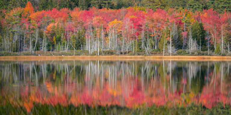 On The Road - Dagaetch - Acadia National Park