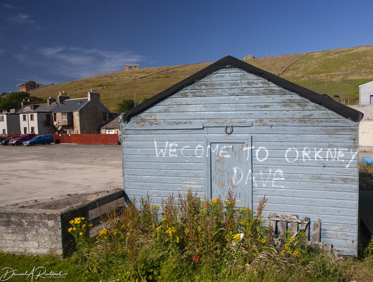 On The Road - Albatrossity - Summertime in Scotland #6 - Orkney 7