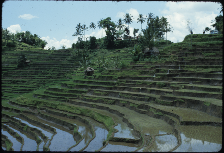 On The Road - way2blue - Bali, Indonesia 4