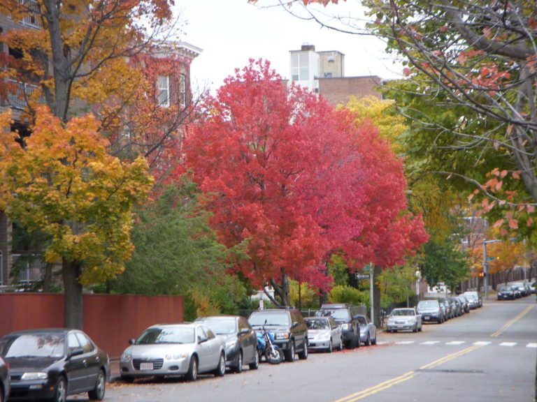 On The Road - JanieM - Fall Color, Part II 3