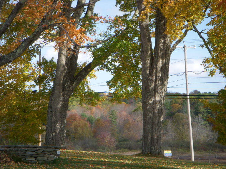 On The Road - JanieM - Fall Color, Part II 2