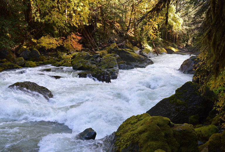 On The Road - Mike in Oly - Election Respite - Pacific Northwest Edition 5