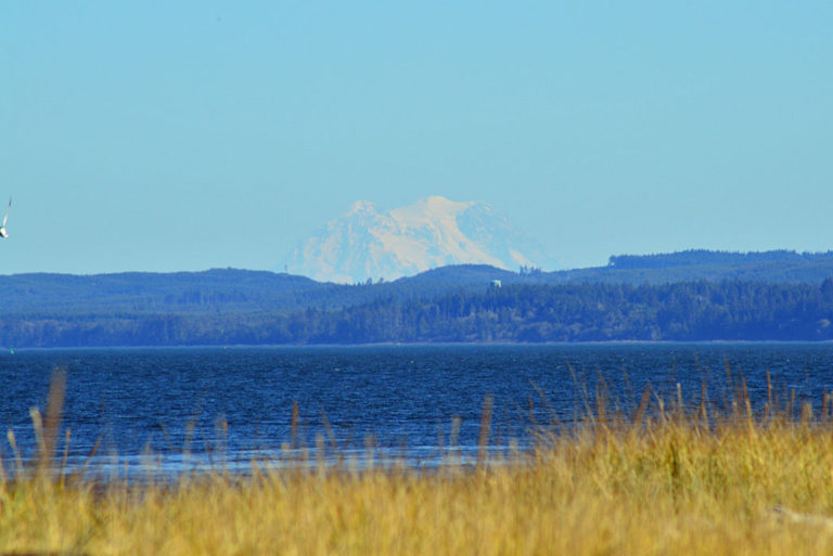 On The Road - Mike in Oly - Election Respite - Pacific Northwest Edition 3