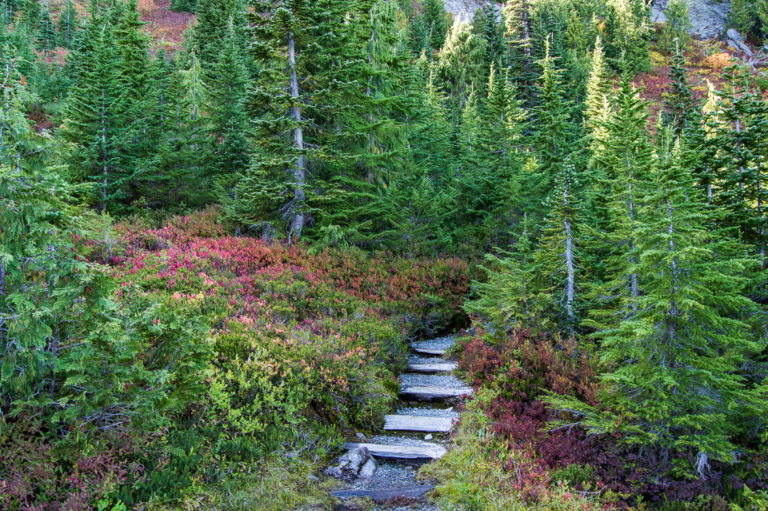 On The Road After Dark - Skookum in Oly - The Wonderland Trail, Mount Rainier National Park - Part 2, Not The Mountain 5