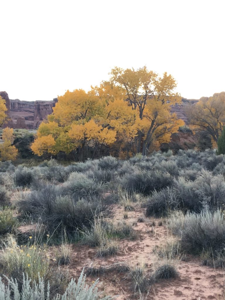 On The Road After Dark - ljt - Parks in Fall 8