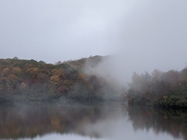 On The Road - Jerry - Blue Ridge Mountains, Fall 2020 3