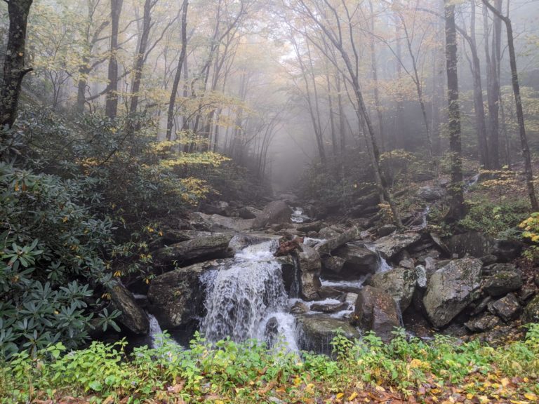 On The Road - Jerry - Blue Ridge Mountains, Fall 2020