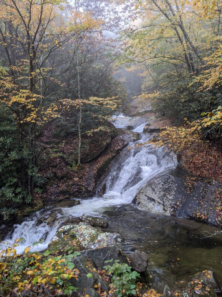 On The Road - Jerry - Blue Ridge Mountains, Fall 2020 1