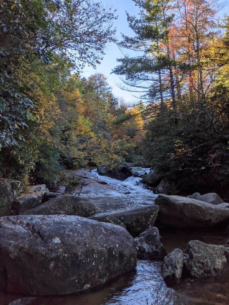 On The Road - Jerry - Blue Ridge Mountains, Fall 2020 2