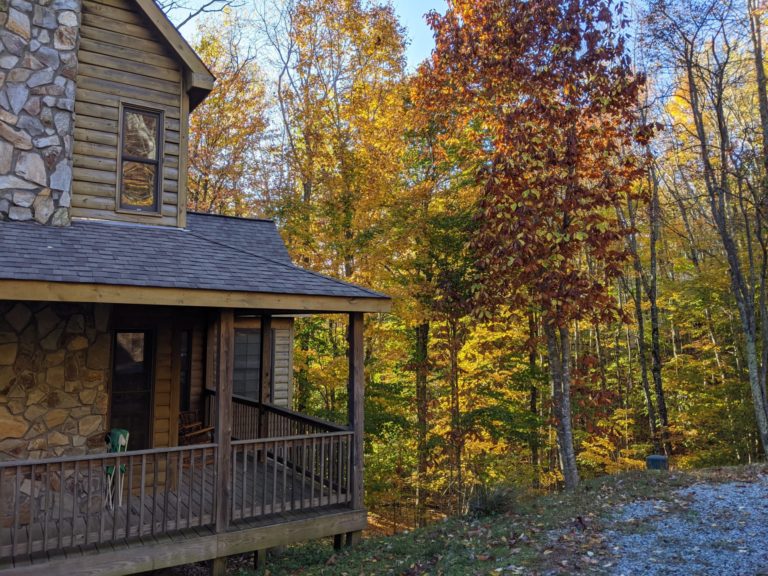 On The Road - Jerry - Blue Ridge Mountains, Fall 2020 7