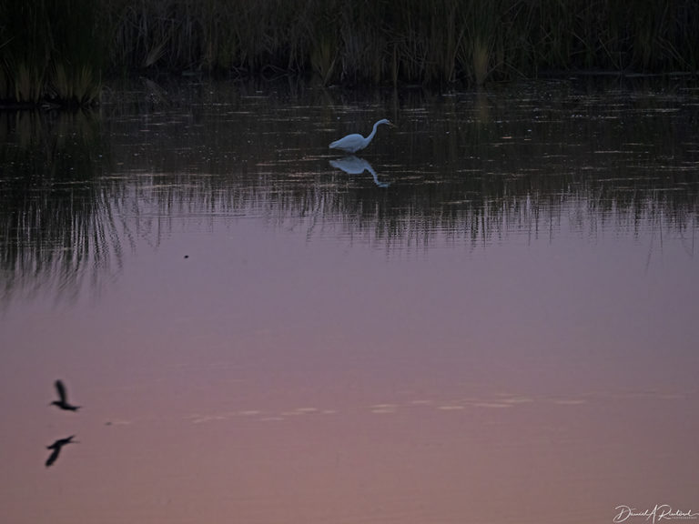 On The Road - Albatrossity - Fall in Flyover Country #2 6