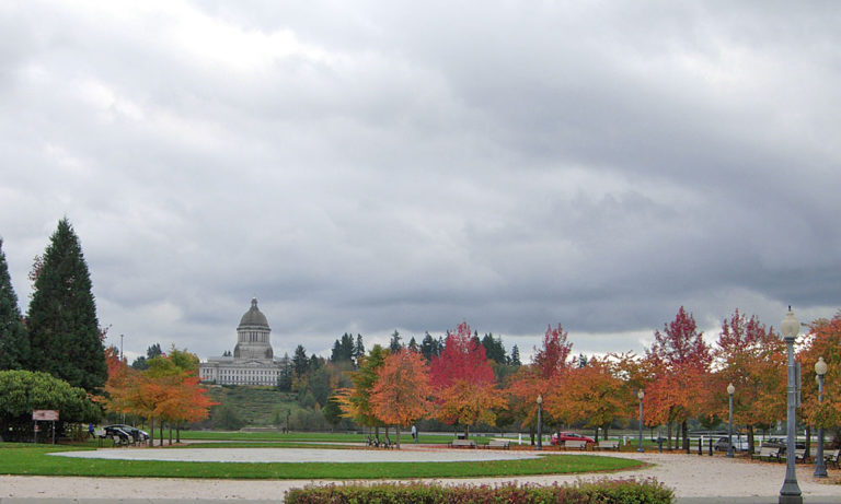 On The Road After Dark - Mike in Oly - Fall Foliage - Olympia, WA 6