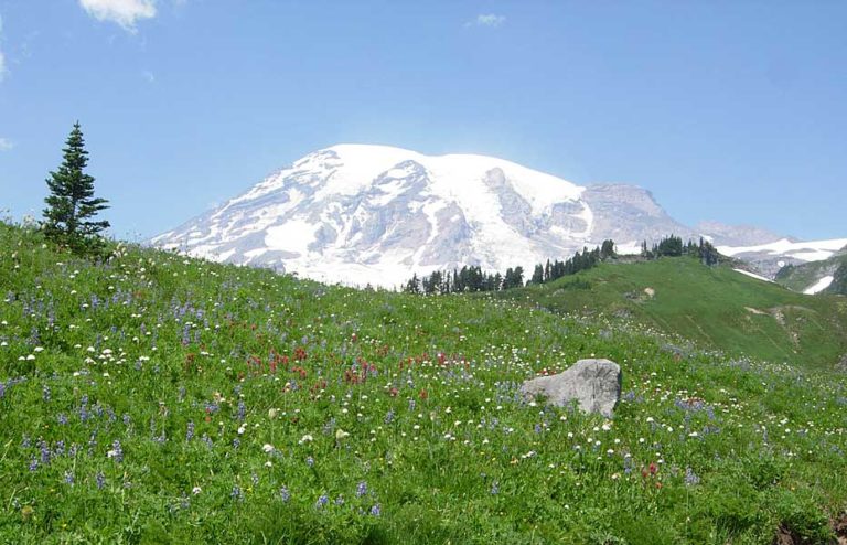 On The Road After Dark - Mike in Oly - The Mountain's Out - Mt. Rainier National Park 1