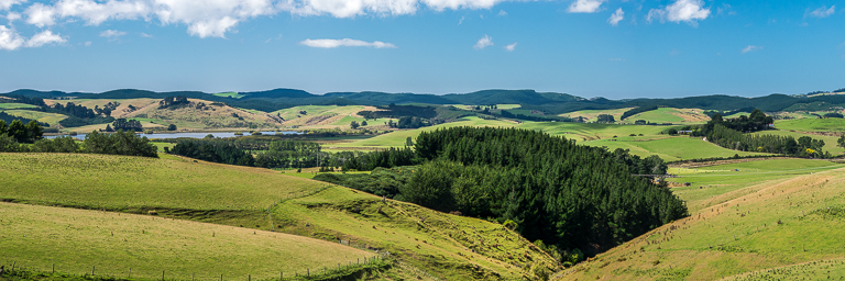 On The Road - Dagaetch - Election Respite, New Zealand Edition 6