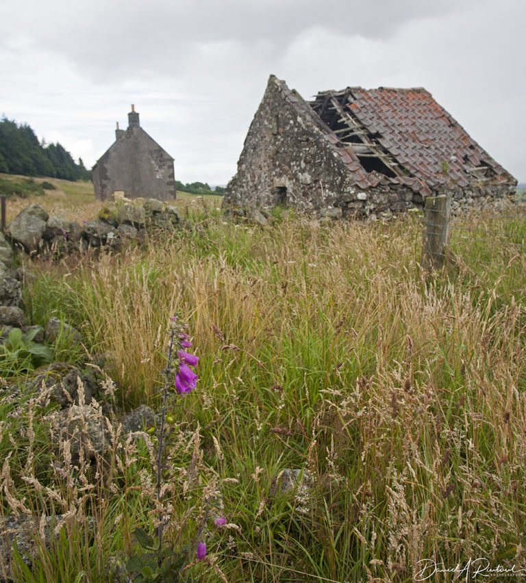 On The Road - Albatrossity - Summertime in Scotland - #7 7