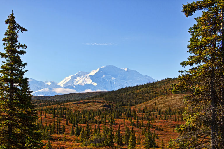 On The Road - arrieve - Denali National Park, Alaska 7