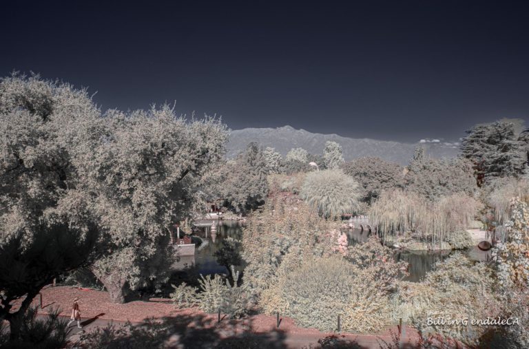 On The Road -  ?BillinGlendaleCA - East Asian Gardens at The Huntington - Infrared/Visual Pairs 3