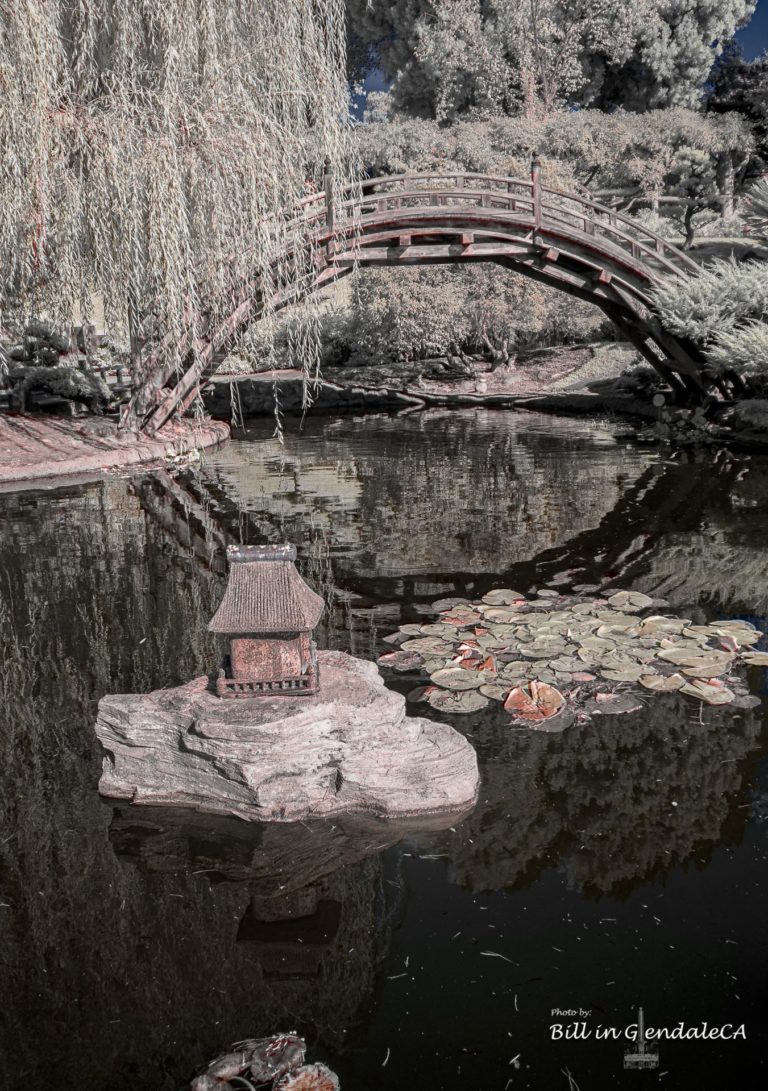 On The Road -  ?BillinGlendaleCA - The Huntington's East Asian Gardens in Infrared.