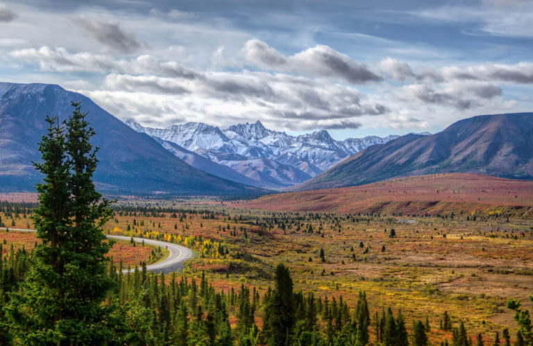 On The Road - arrieve - Denali National Park, Alaska 6