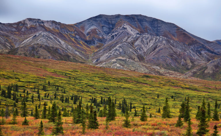 On The Road - arrieve - Denali National Park, Alaska 5