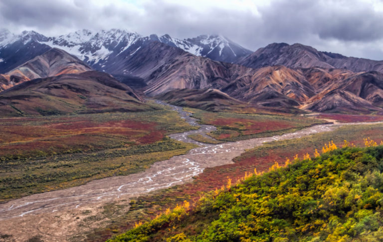 On The Road - arrieve - Denali National Park, Alaska 4