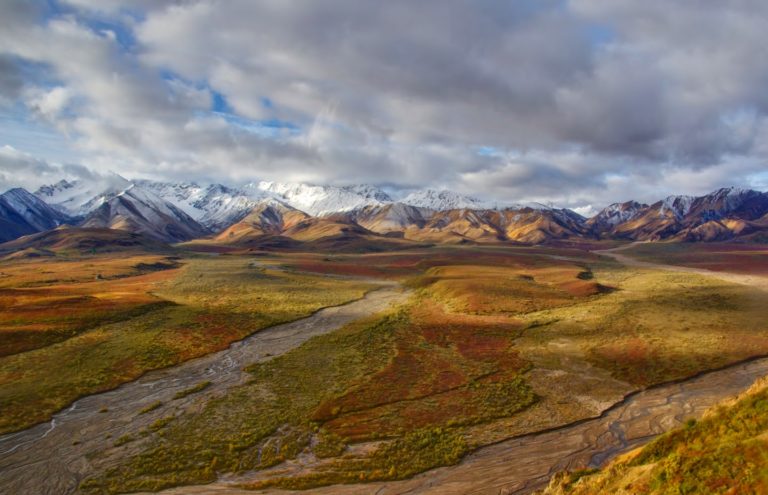 On The Road - arrieve - Denali National Park, Alaska 3