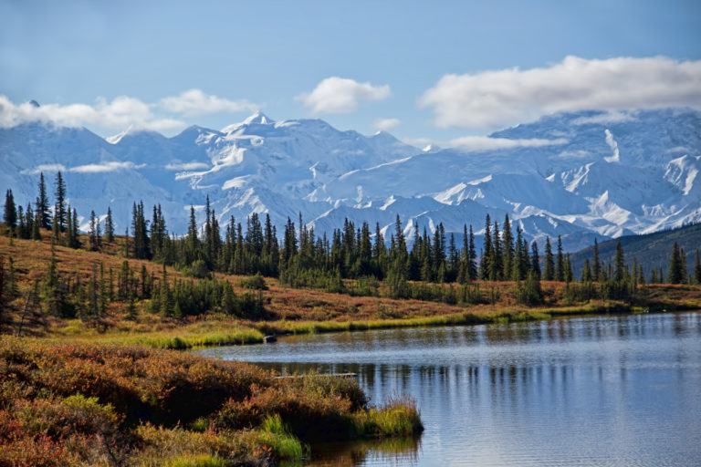 On The Road - arrieve - Denali National Park, Alaska 1