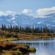 On The Road - arrieve - Denali National Park, Alaska 1