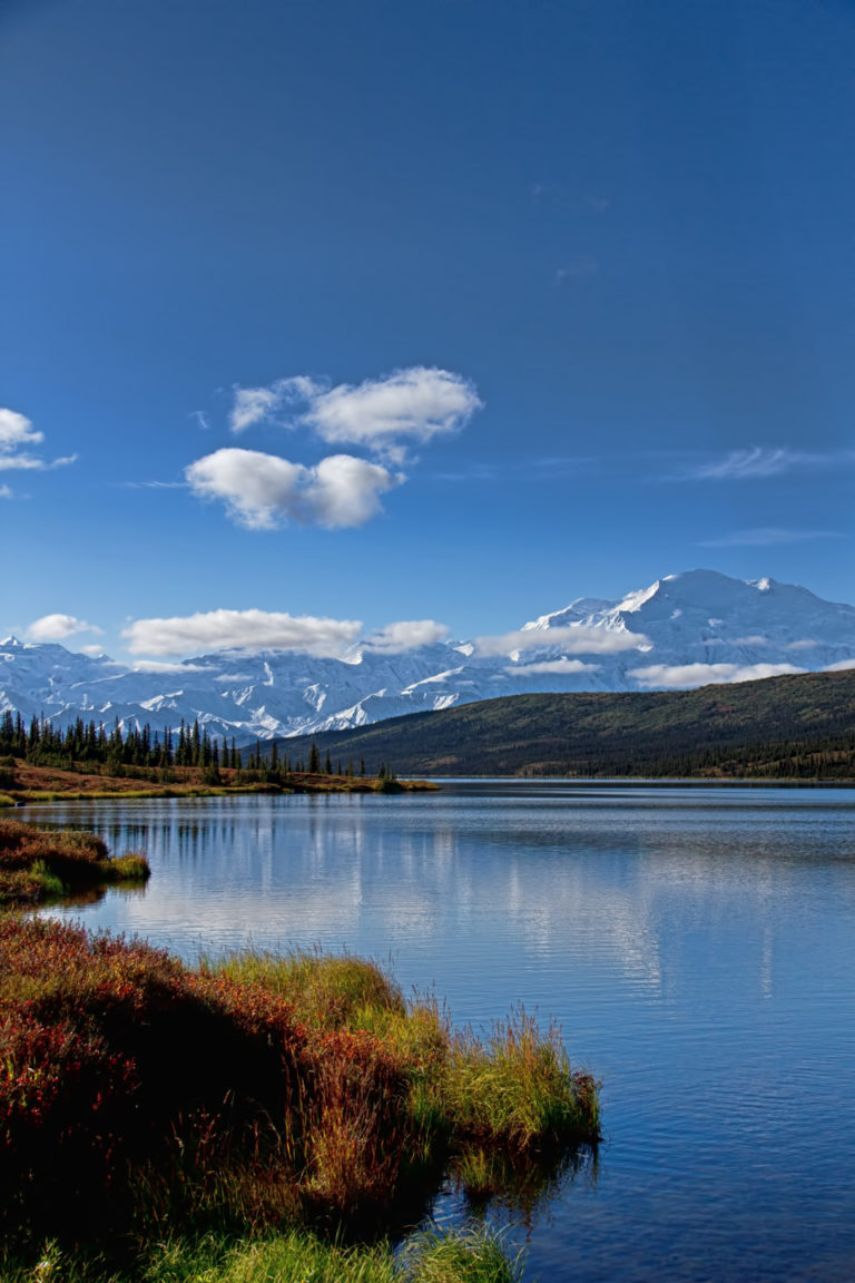 On The Road - arrieve - Denali National Park, Alaska