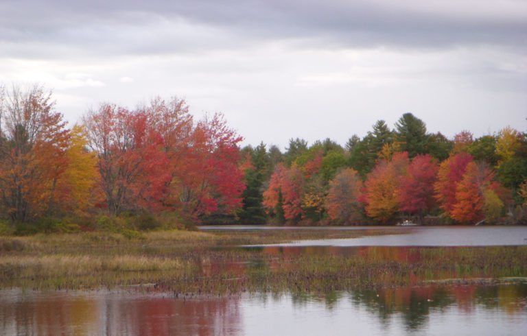 On The Road - JanieM - Fall Color Part IV - Trees and Water 7