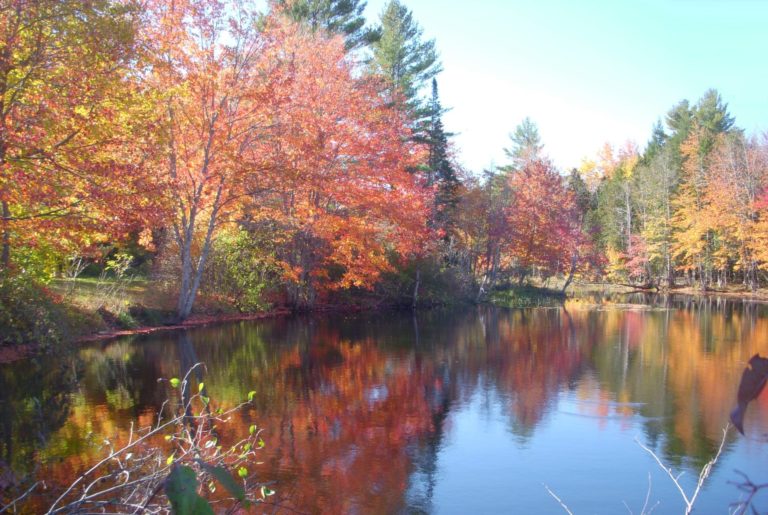 On The Road - JanieM - Fall Color Part IV - Trees and Water 6