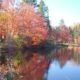 On The Road - JanieM - Fall Color Part IV - Trees and Water 6