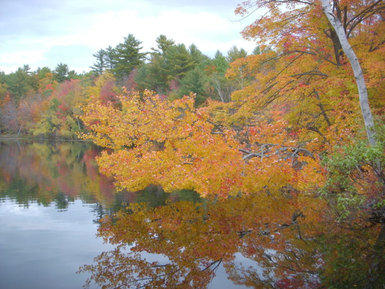 On The Road - JanieM - Fall Color Part IV - Trees and Water 5